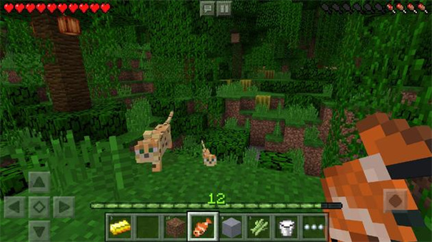 minecraft1.19国际版