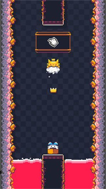 猫猫冲撞