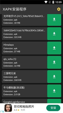 安大师