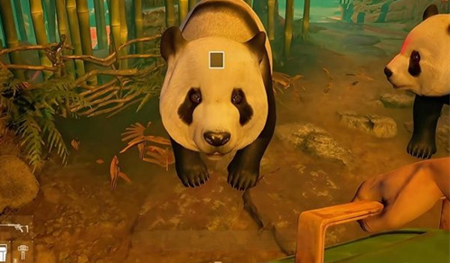 会说话的熊猫宝宝