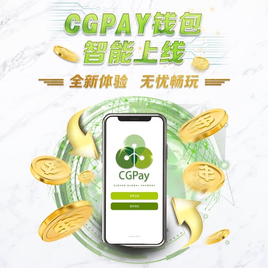 cgpay电子钱包 1