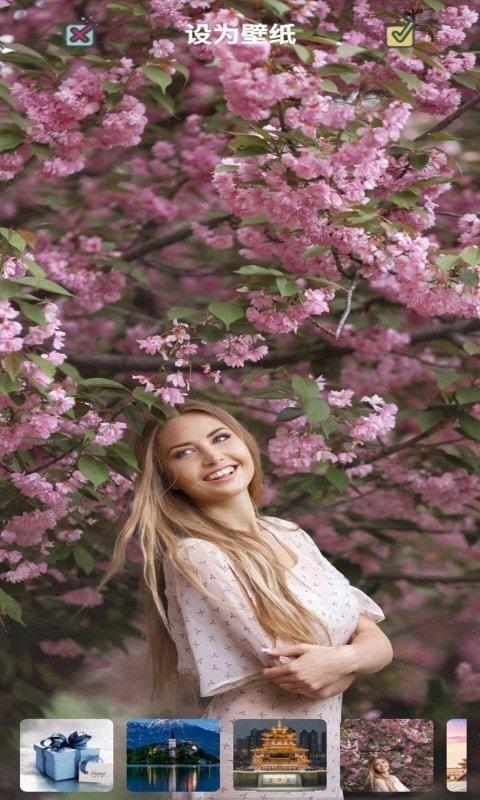 我的迷你世界壁纸/